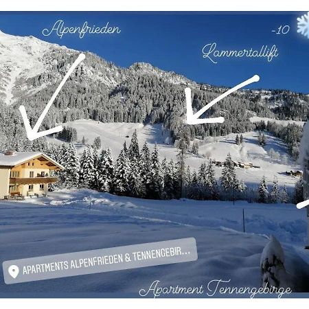 Apartment Tennengebirge Санкт-Мартин-ам-Тенненгебирге Экстерьер фото