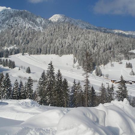 Apartment Tennengebirge Санкт-Мартин-ам-Тенненгебирге Экстерьер фото