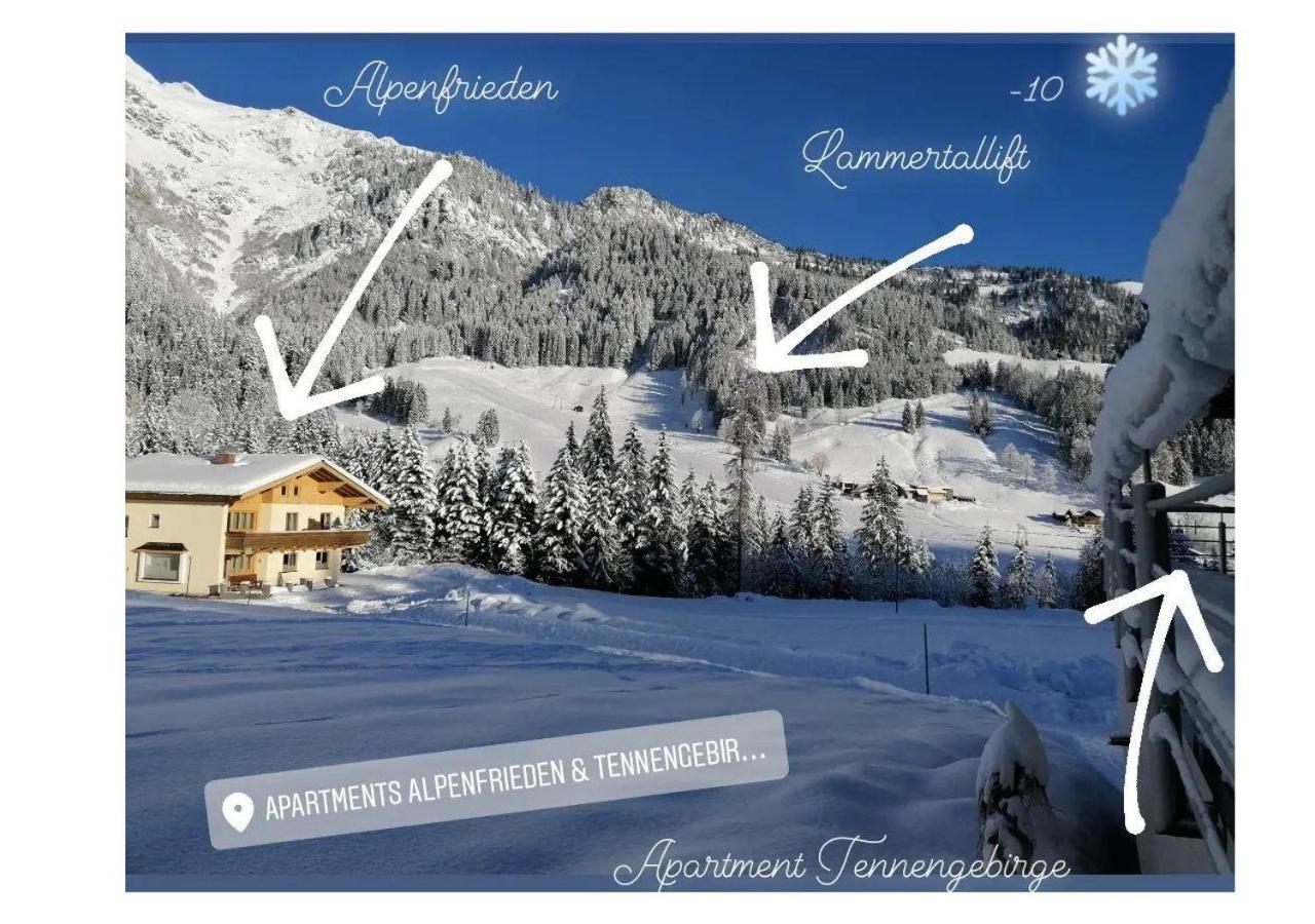 Apartment Tennengebirge Санкт-Мартин-ам-Тенненгебирге Экстерьер фото
