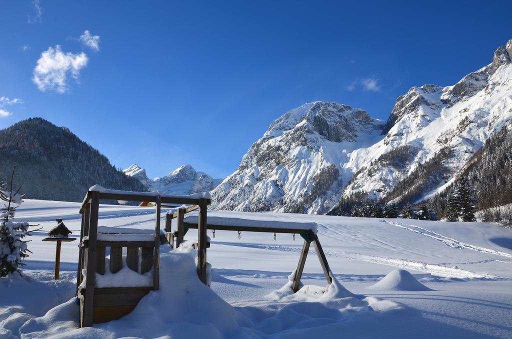 Apartment Tennengebirge Санкт-Мартин-ам-Тенненгебирге Экстерьер фото