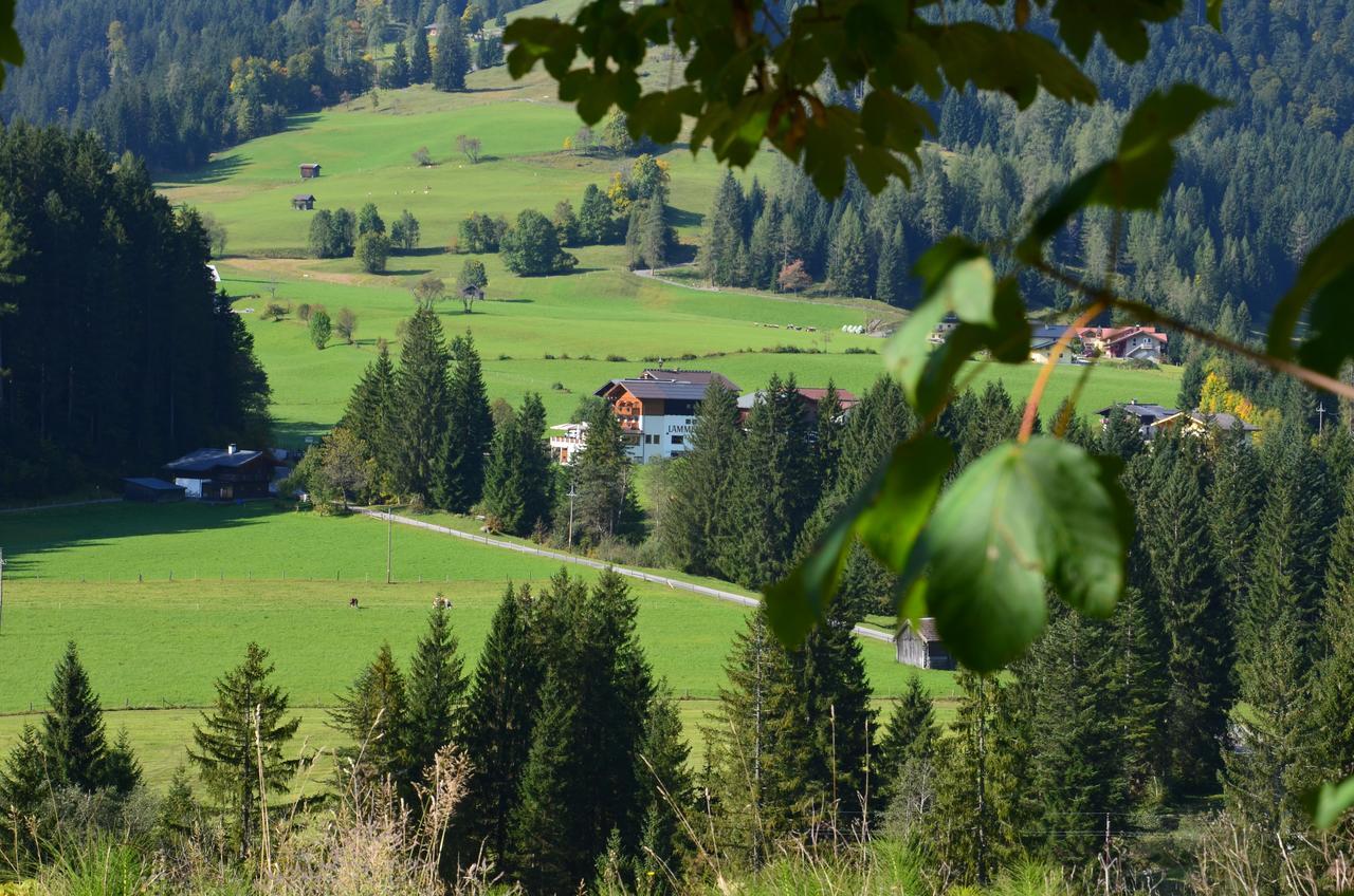Apartment Tennengebirge Санкт-Мартин-ам-Тенненгебирге Экстерьер фото